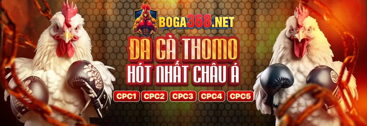 Sân đấu đá gà trực tuyến sôi động tại axx88 win