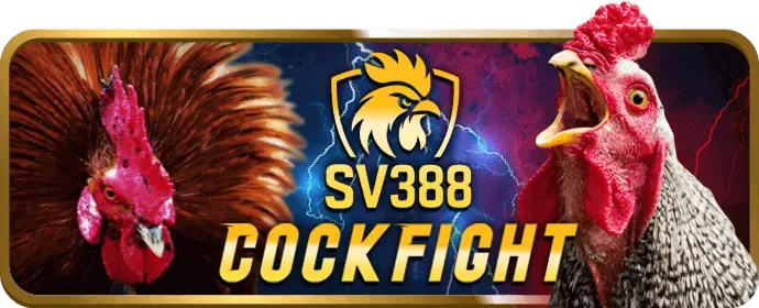Các trò chơi Bài